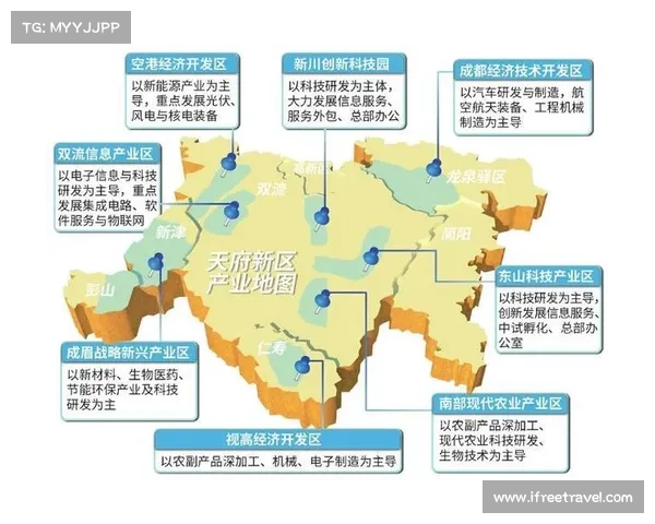 申花集团在产业转型中的战略布局与未来发展潜力分析